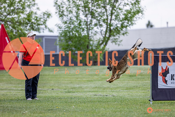 2025-K9Force-MayExams-5474