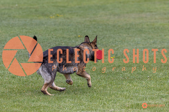 2025-K9Force-MayExams-5874
