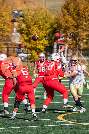 CalgaryColts-1400