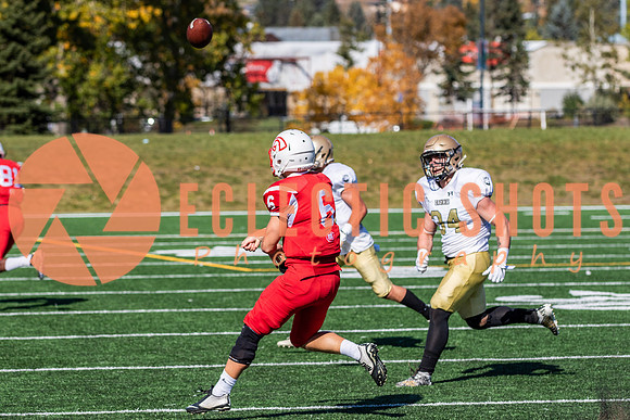 CalgaryColts-1390