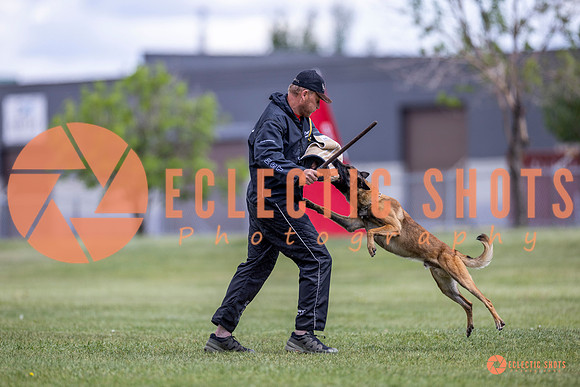 2025-K9Force-MayExams-8540