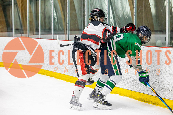 2022.11.11CalBisons-FVTBirds-4178