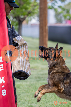 2025-K9Force-MayExams-6371