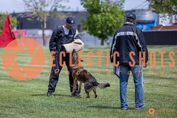 2025-K9Force-MayExams-6470
