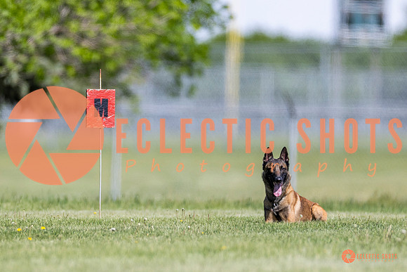 2025-K9Force-MayExams-8228