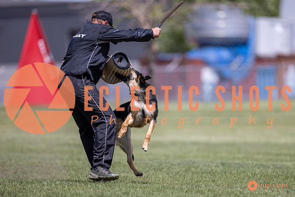 2025-K9Force-MayExams-8090