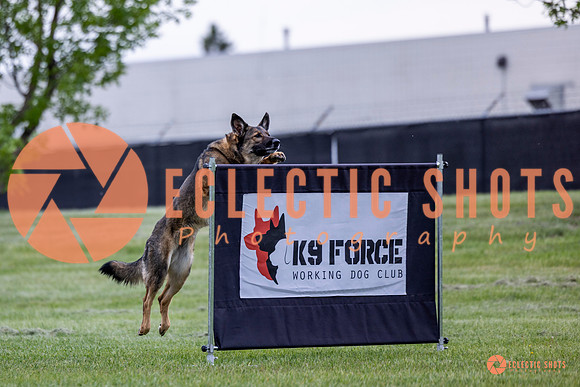 2025-K9Force-MayExams-5423