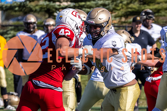 CalgaryColts-9664