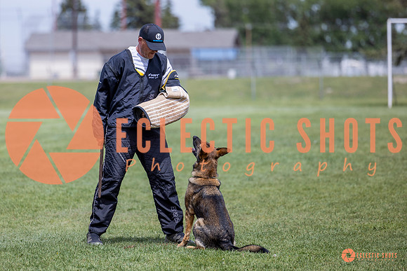 2025-K9Force-MayExams-6458