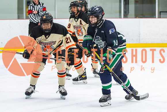 RMC2021-11-12-LloydBobcats-FVT-Birds-6097