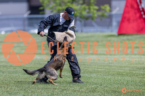 2025-K9Force-MayExams-7360