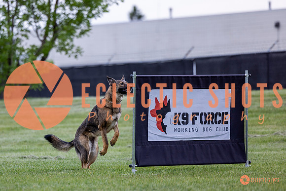 2025-K9Force-MayExams-5421
