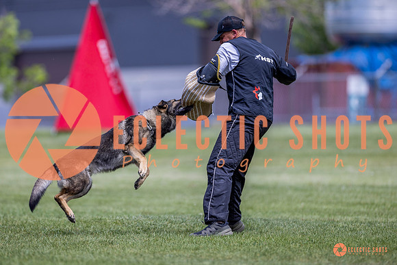 2025-K9Force-MayExams-7762
