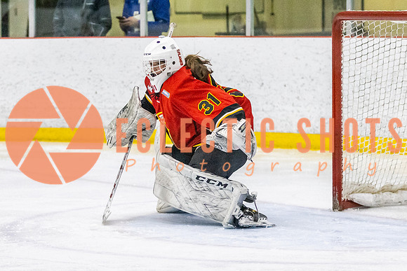 2021-11-13-StAlbertSabres-CalFlames-3991