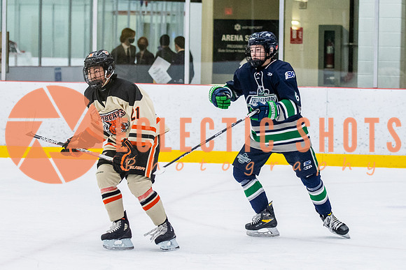 RMC2021-11-12-LloydBobcats-FVT-Birds-6052