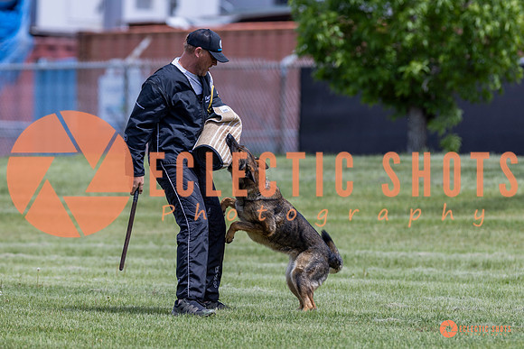 2025-K9Force-MayExams-7385