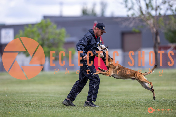 2025-K9Force-MayExams-8543