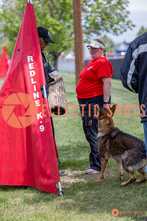 2025-K9Force-MayExams-6393
