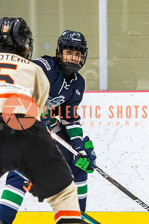 RMC2021-11-12-LloydBobcats-FVT-Birds-6159