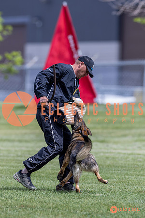 2025-K9Force-MayExams-7371