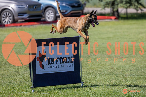 2025-K9Force-MayExams-7314