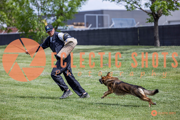 2025-K9Force-MayExams-6408