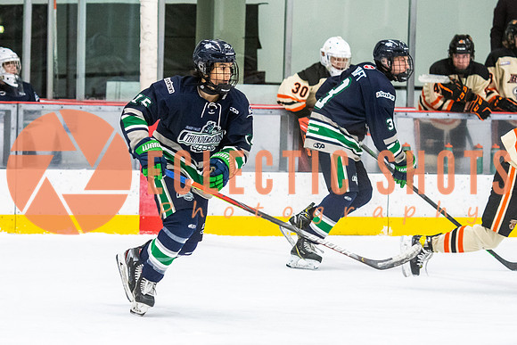 RMC2021-11-12-LloydBobcats-FVT-Birds-6072