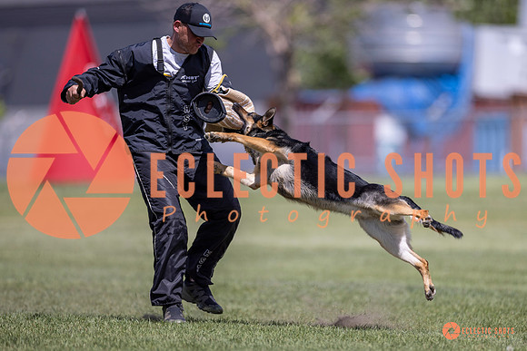 2025-K9Force-MayExams-8095