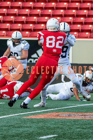CalgaryColts2018-1083