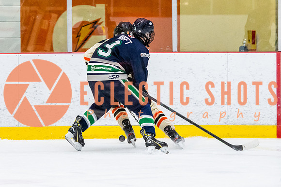 RMC2021-11-12-LloydBobcats-FVT-Birds-6048