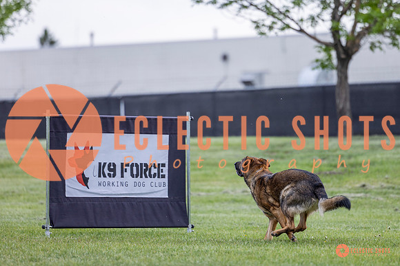 2025-K9Force-MayExams-5459
