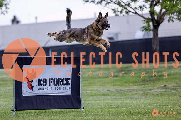2025-K9Force-MayExams-5430