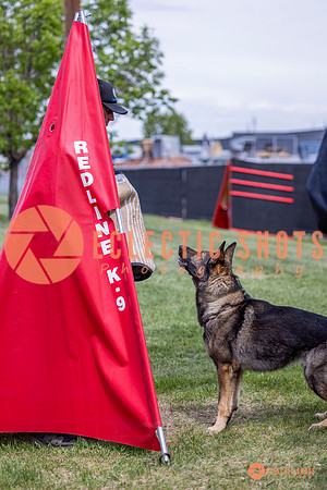 2025-K9Force-MayExams-6906