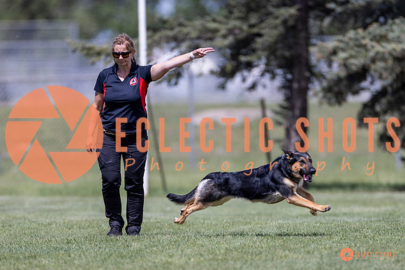 2025-K9Force-MayExams-8004