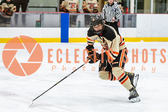 RMC2021-11-12-LloydBobcats-FVT-Birds-5962