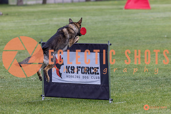2025-K9Force-MayExams-5889