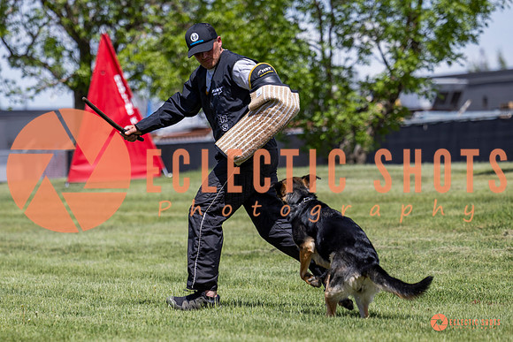 2025-K9Force-MayExams-7226