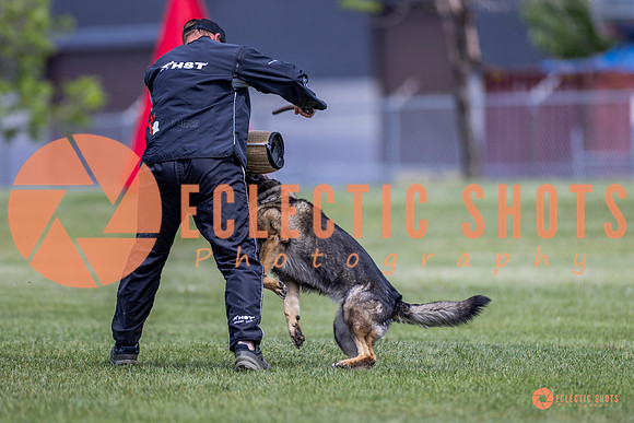 2025-K9Force-MayExams-7789