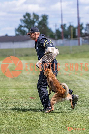 2025-K9Force-MayExams-7704