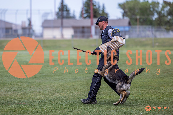 2025-K9Force-MayExams-6970