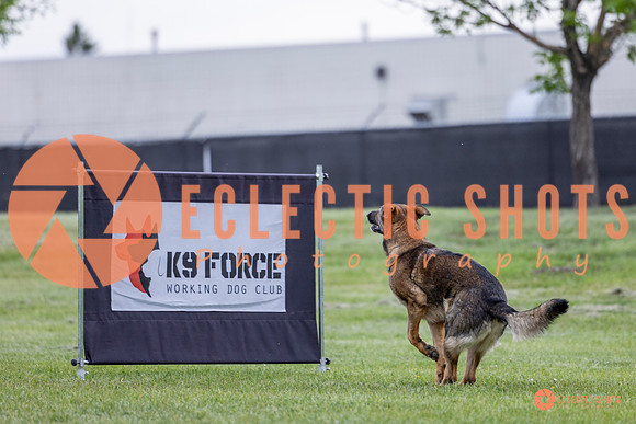 2025-K9Force-MayExams-5460