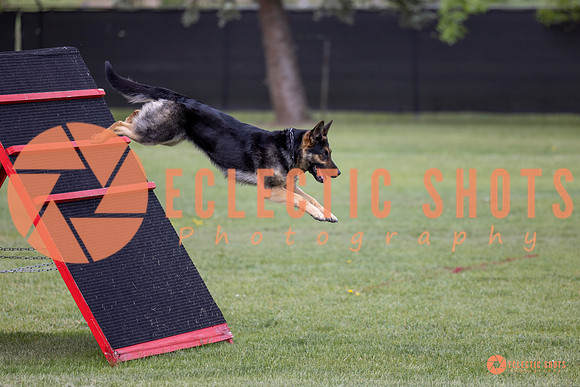 2025-K9Force-MayExams-5770