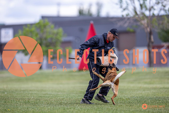 2025-K9Force-MayExams-8548