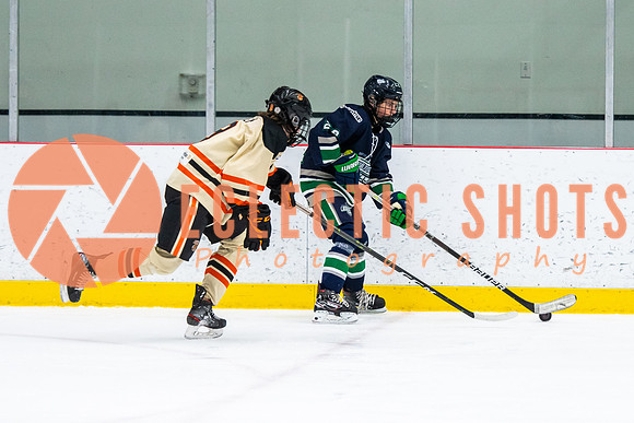RMC2021-11-12-LloydBobcats-FVT-Birds-6068