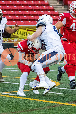 CalgaryColts2018-1455