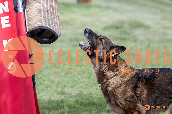 2025-K9Force-MayExams-6363