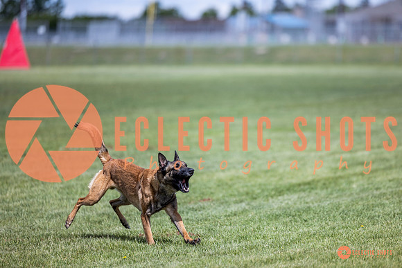 2025-K9Force-MayExams-7660
