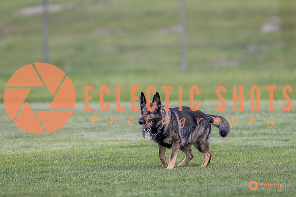 2025-K9Force-MayExams-6672