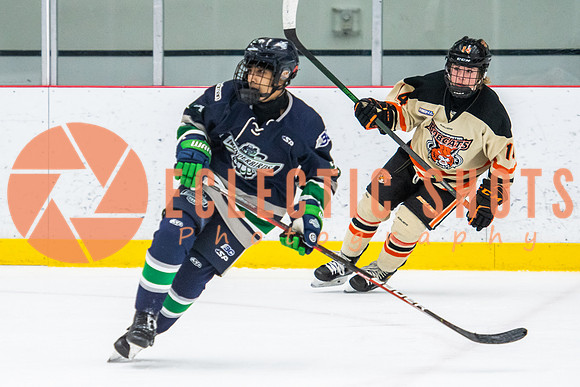 RMC2021-11-12-LloydBobcats-FVT-Birds-6081