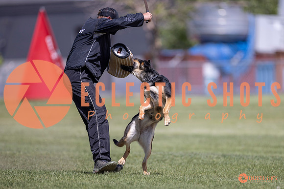 2025-K9Force-MayExams-8091